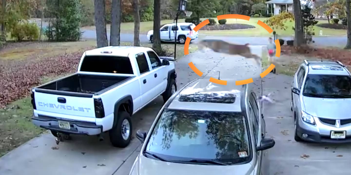Watch a Flying Deer Hit a Pickup For Sale Just as the Buyer Arrives